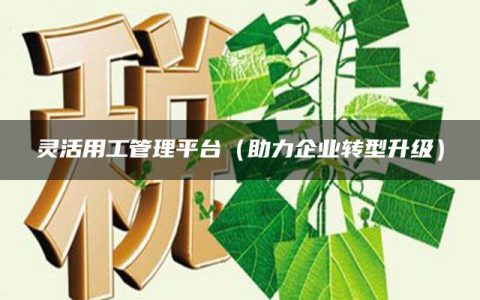 灵活用工管理平台（助力企业转型升级）