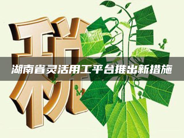 湖南省灵活用工平台推出新措施