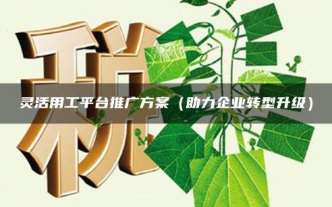 灵活用工平台推广方案（助力企业转型升级）