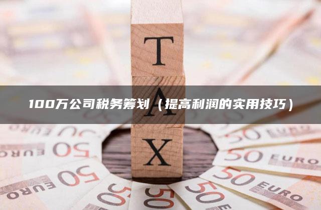 100万公司税务筹划（提高利润的实用技巧）