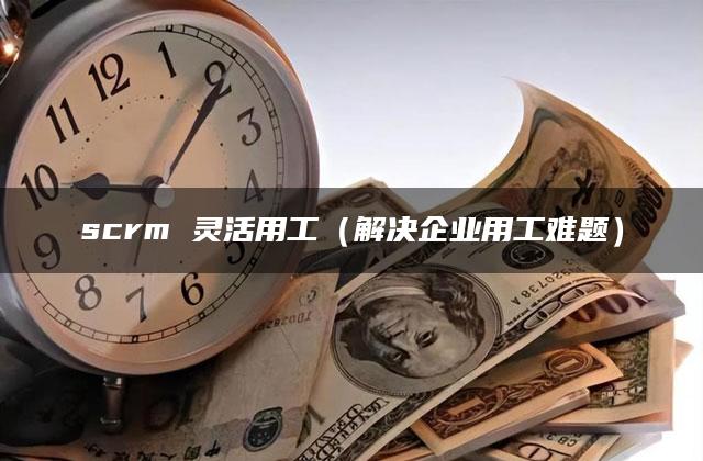 scrm 灵活用工（解决企业用工难题）