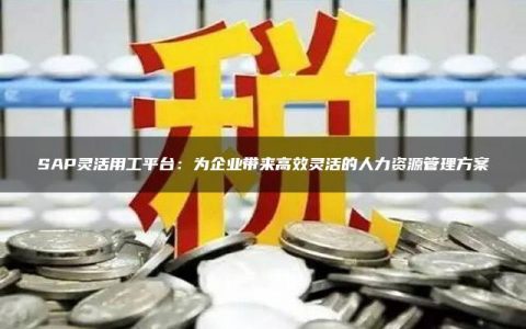 SAP灵活用工平台：为企业带来高效灵活的人力资源管理方案