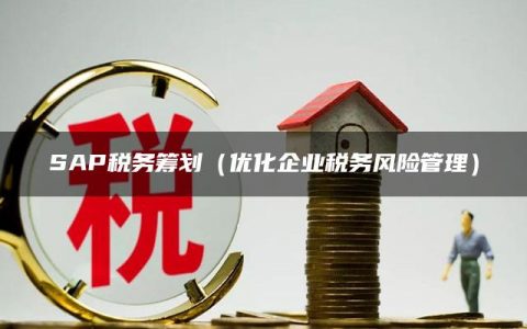 SAP税务筹划（优化企业税务风险管理）