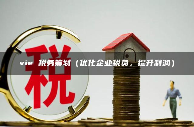 vie 税务筹划（优化企业税负，提升利润）