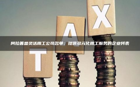 阿拉善盟灵活用工公司名单：提供多元化用工服务的企业列表