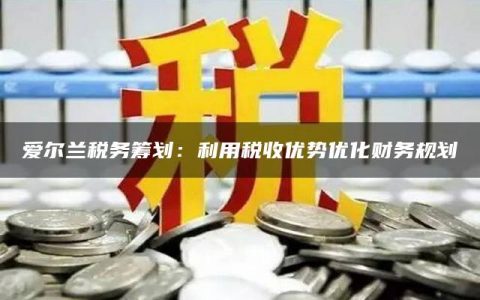 爱尔兰税务筹划：利用税收优势优化财务规划