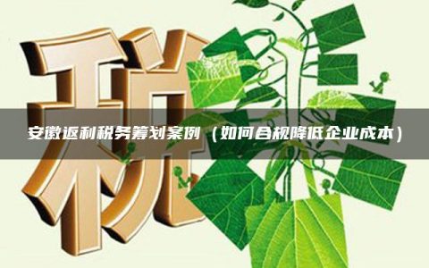 安徽返利税务筹划案例（如何合规降低企业成本）