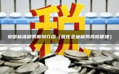 安徽标准税务筹划介绍（优化企业税务风险管理）