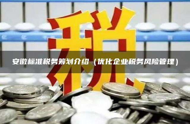 安徽标准税务筹划介绍（优化企业税务风险管理）