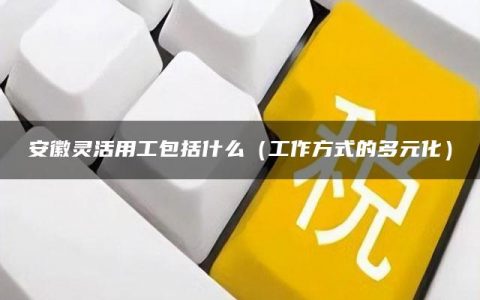 安徽灵活用工包括什么（工作方式的多元化）