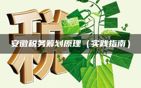 安徽税务筹划原理（实践指南）