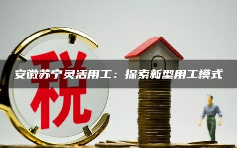 安徽苏宁灵活用工：探索新型用工模式