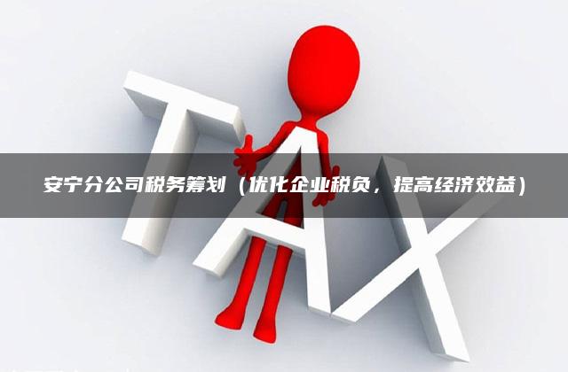 安宁分公司税务筹划（优化企业税负，提高经济效益）