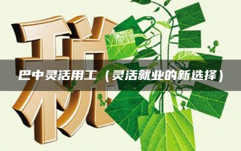 巴中灵活用工（灵活就业的新选择）