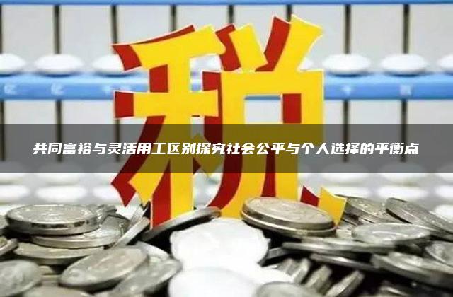 共同富裕与灵活用工区别探究社会公平与个人选择的平衡点