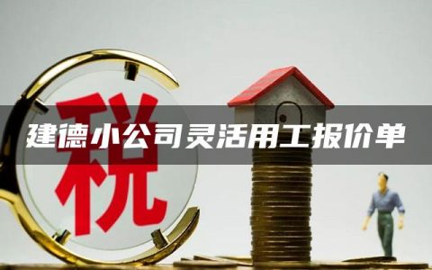 建德小公司灵活用工报价单