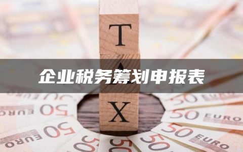 企业税务筹划申报表