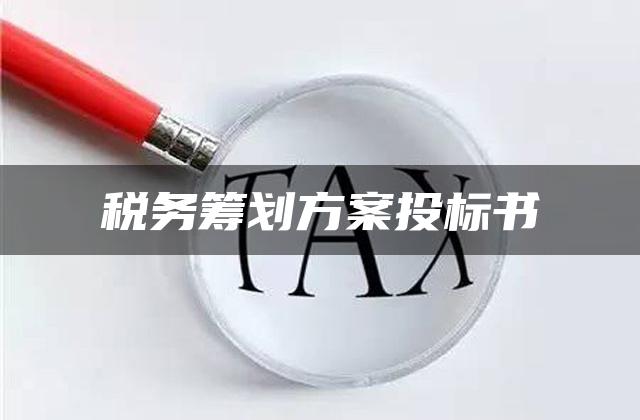 税务筹划方案投标书