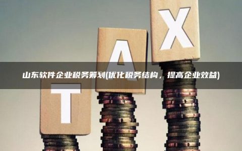 山东软件企业税务筹划(优化税务结构，提高企业效益)