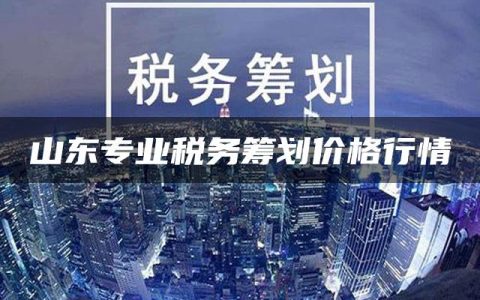 山东专业税务筹划价格行情