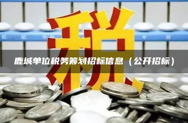 鹿城单位税务筹划招标信息（公开招标）