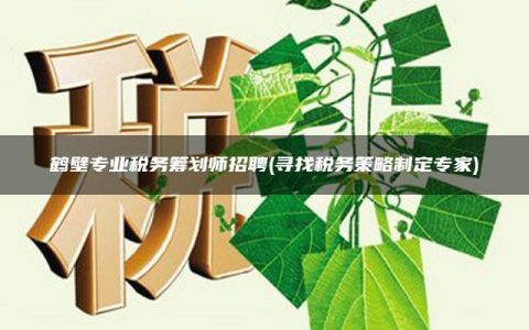 鹤壁专业税务筹划师招聘(寻找税务策略制定专家)