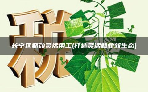 长宁区薪动灵活用工(打造灵活就业新生态)