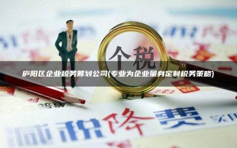 庐阳区企业税务筹划公司(专业为企业量身定制税务策略)