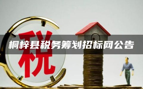 桐梓县税务筹划招标网公告