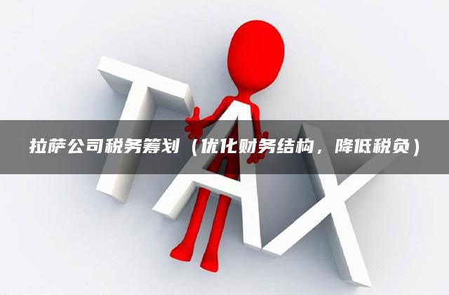 拉萨公司税务筹划（优化财务结构，降低税负）