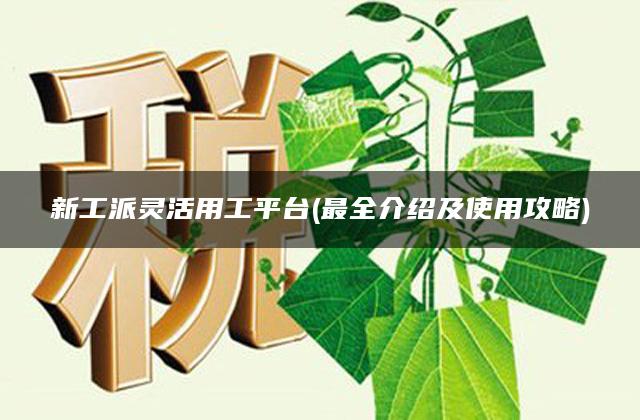 新工派灵活用工平台(最全介绍及使用攻略)