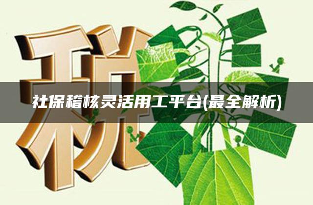 社保稽核灵活用工平台(最全解析)