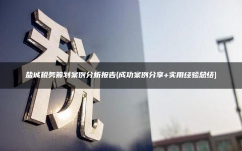 盐城税务筹划案例分析报告(成功案例分享+实用经验总结)