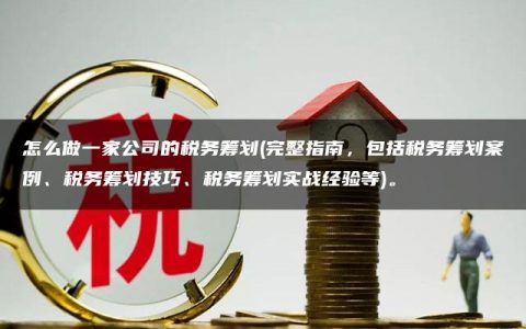 怎么做一家公司的税务筹划(完整指南，包括税务筹划案例、税务筹划技巧、税务筹划实战经验等)。