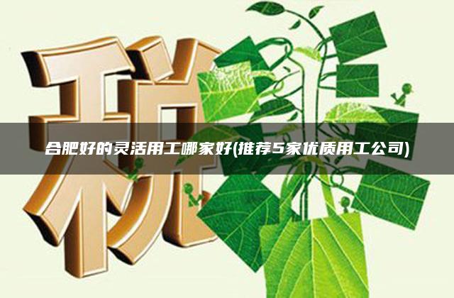 合肥好的灵活用工哪家好(推荐5家优质用工公司)