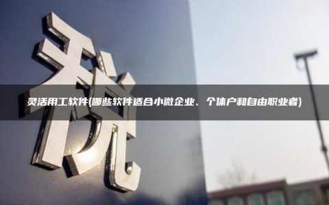 灵活用工软件(哪些软件适合小微企业、个体户和自由职业者)