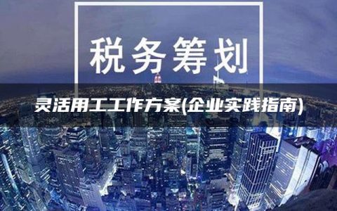 灵活用工工作方案(企业实践指南)