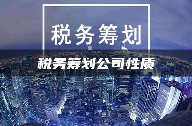 税务筹划公司性质