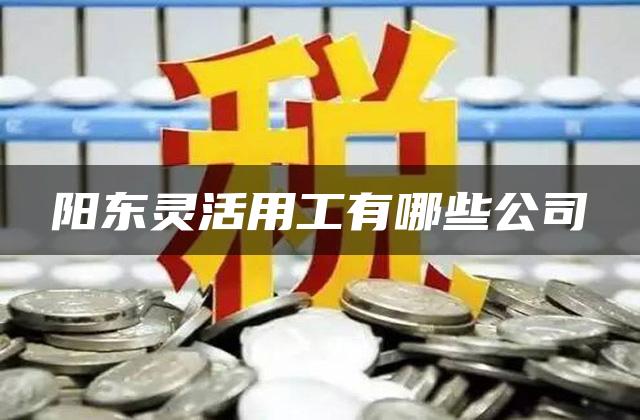 阳东灵活用工有哪些公司