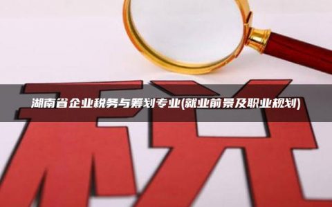 湖南省企业税务与筹划专业(就业前景及职业规划)