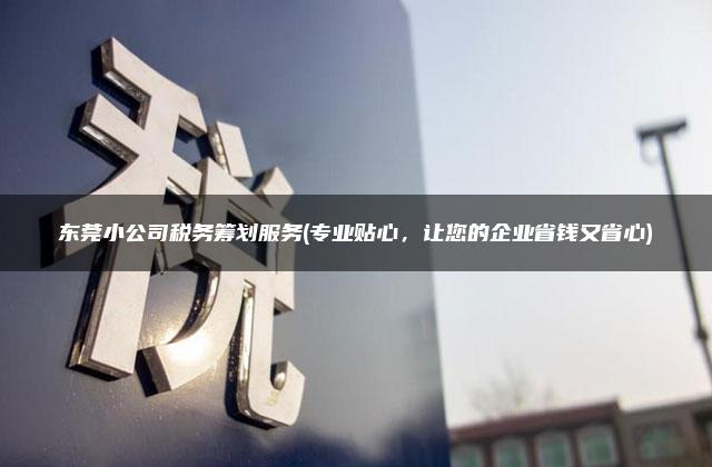 东莞小公司税务筹划服务(专业贴心，让您的企业省钱又省心)