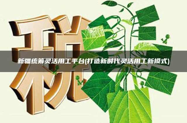 新疆统筹灵活用工平台(打造新时代灵活用工新模式)