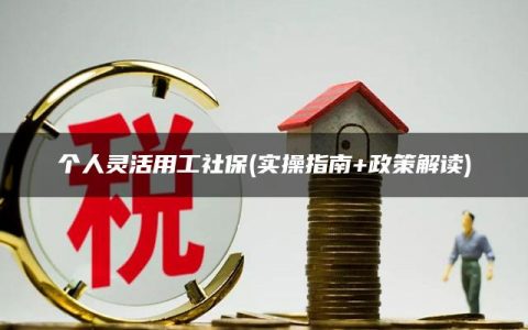 个人灵活用工社保(实操指南+政策解读)