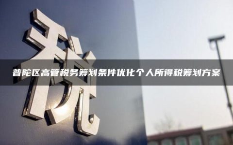 普陀区高管税务筹划条件优化个人所得税筹划方案