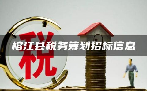 榕江县税务筹划招标信息