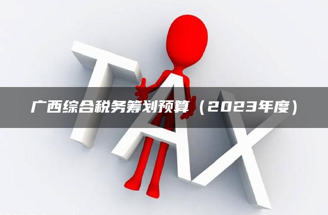 广西综合税务筹划预算（2023年度）