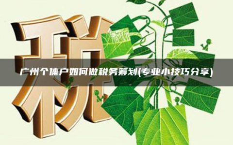 广州个体户如何做税务筹划(专业小技巧分享)