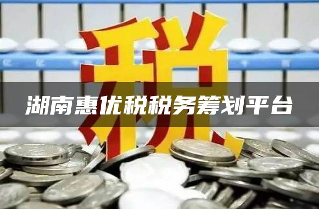 湖南惠优税税务筹划平台