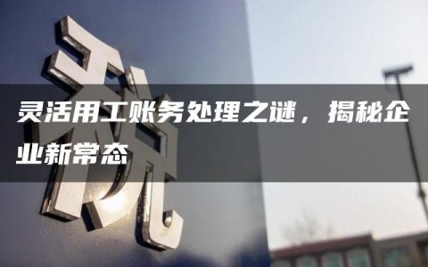 灵活用工账务处理之谜，揭秘企业新常态