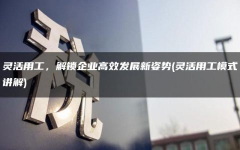 灵活用工，解锁企业高效发展新姿势(灵活用工模式讲解)